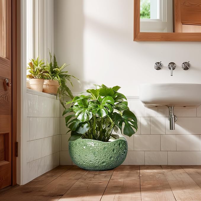 Ceramic Pots for Plants - Image 7