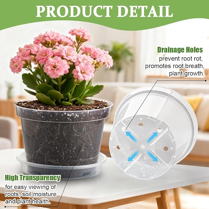 12 Pack 8 Inch Clear Plant Pots - Image 3