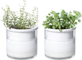 Phoenix Vine 4 Inch Self Watering Planter Pot, Design White Terracotta Pots by Phoenix+Vine