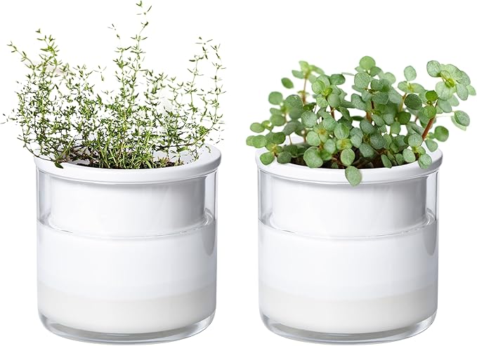 Phoenix Vine 4 Inch Self Watering Planter Pot, Design White Terracotta Pots by Phoenix+Vine
