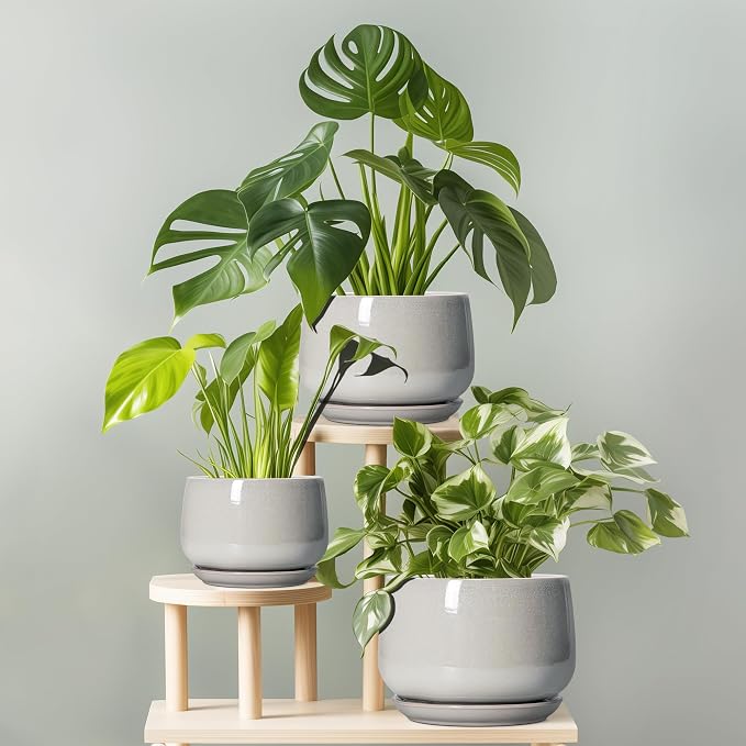 G EPGardening Ceramic Pots for Plants - Image 8