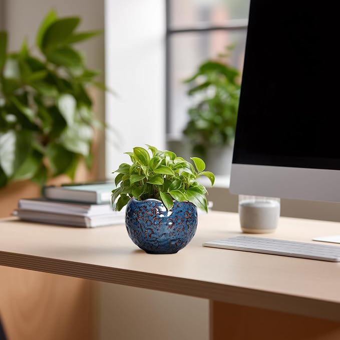Ceramic Pots for Plants - Image 3