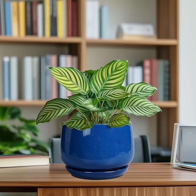 G EPGardening Round Ceramic Plant Pots - Image 8