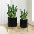 ARNIS Modern Planter Pots, Decorative Planters, Metal Pots by ARNIS