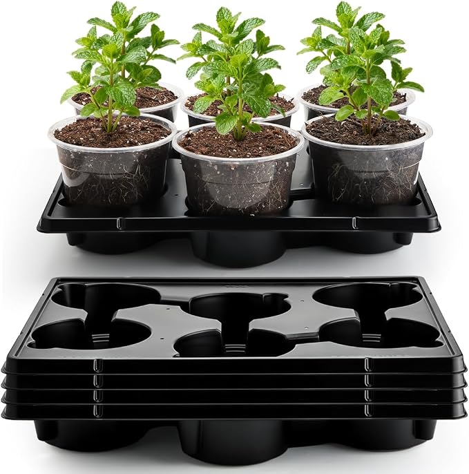 30 Pack 6 Inch Clear Nursery Pots and 5 Pack 6 Cell Round Plant Pot Trays by RooTrimmer
