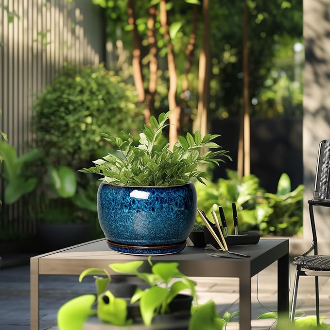 SQOWL 10 Inch Plant Pot - Image 6