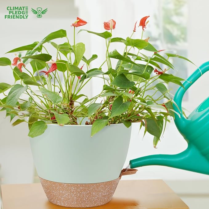 12 inch Large Self Watering Plant Pots, Flower Pots Planters - Image 6