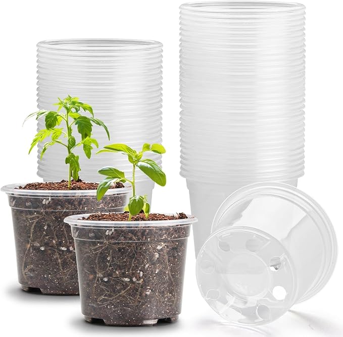 Clear Seedling pots 100-Pack 3.2 Inches Round by RooTrimmer