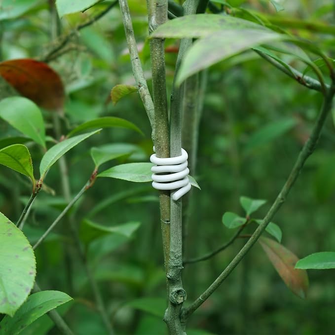 Decoroca Soft Plant Ties for Support - Image 6