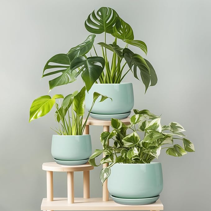 G EPGardening Ceramic Plant Pots - Image 8