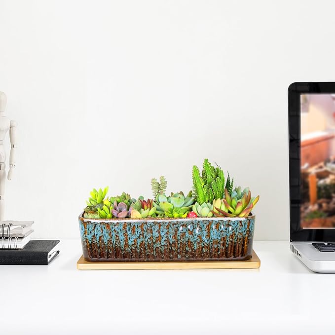 Succulent Pots - 12 Inch Large Succulent Planters - Image 5