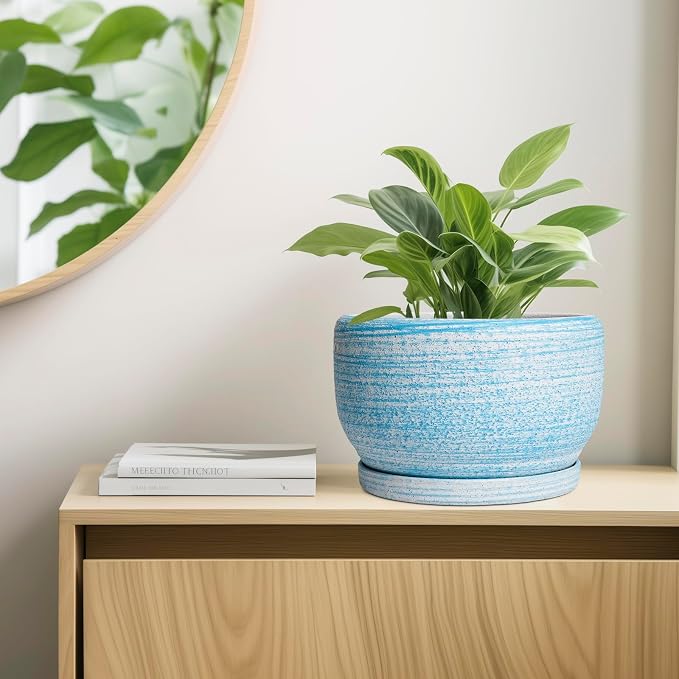 SQOWL Ceramic Plant Pots - Image 7