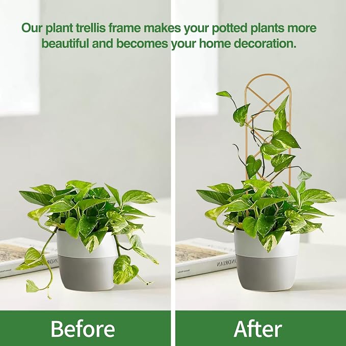 Small Trellis for Potted Plants, 15.94 inch Gold Metal Plant Trellis for - Image 3