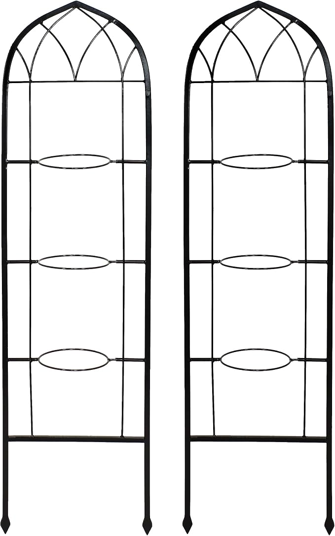Sunnydaze Steel 2-Piece Arched Garden Trellis - Image 7