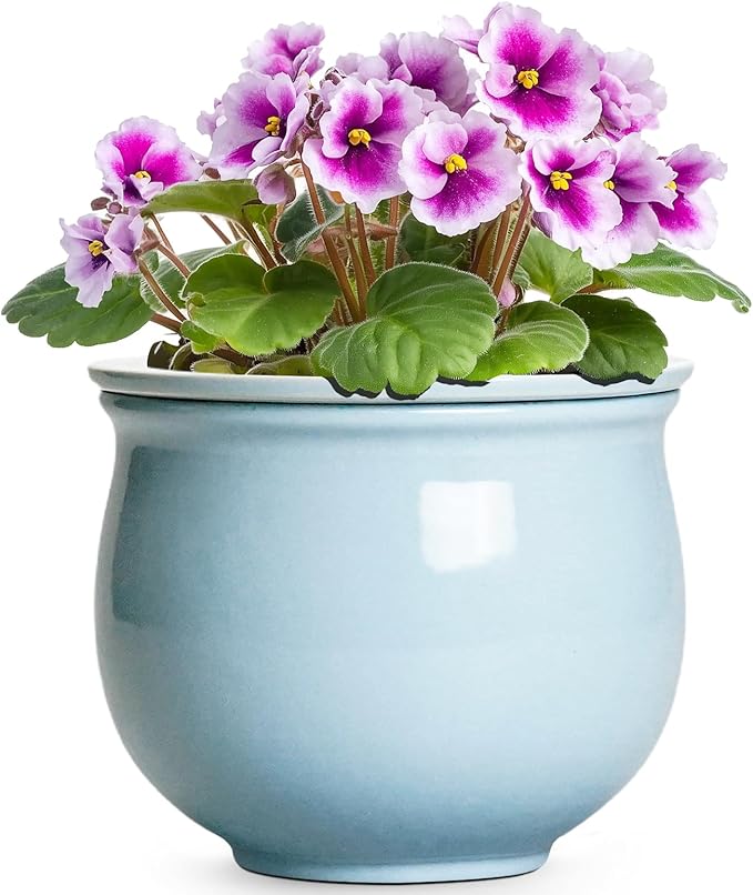 Ceramic African Violet Pots for Indoor Plants, 6 Inch Self Watering Planters by Teagas