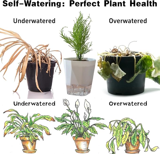 3 Packs Self Watering Plant Pots, Plastic Flower Pots - Image 4