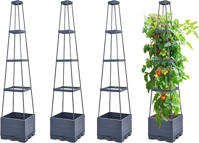 GENMOUS Raised Garden Bed with Tomato Planter Box Trellis, Tomato Planter Cage by GenMousCo