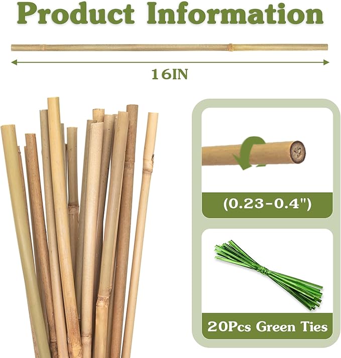 Plant Stakes 16inch, HAINANSTRY Plant Support Stakes - Image 2