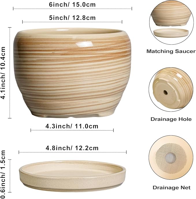 SQOWL Ceramic Pot for Plants - Image 2
