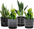Ton Sin Flower Pots, 5.5 Inch Black Ceramic Planter by TonSin