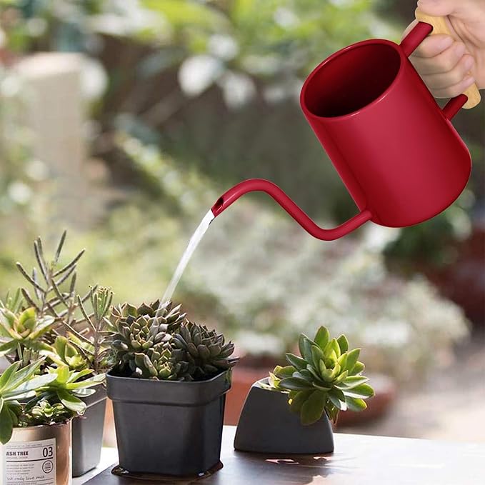 Watering Can Indoor Plants, 35 oz/1000 ml Metal Stainless Steel Watering Can Pot - Image 2
