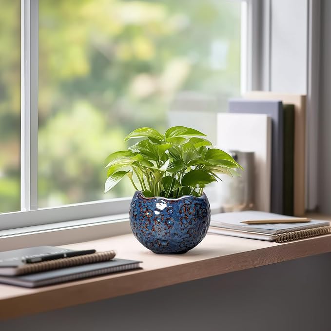 Ceramic Pots for Plants - Image 5