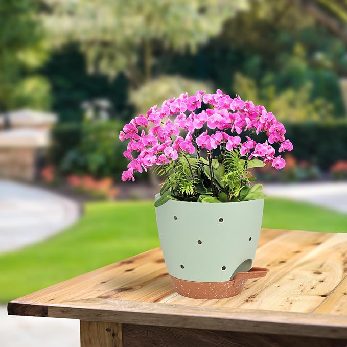 6 Inch Orchid Pots with Holes, 3 Pack Self Watering Planters - Image 7