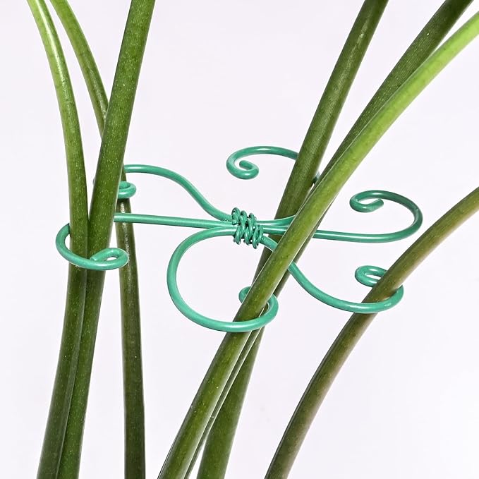 5PCS Monstera Plant Support Hook by Yohsnor