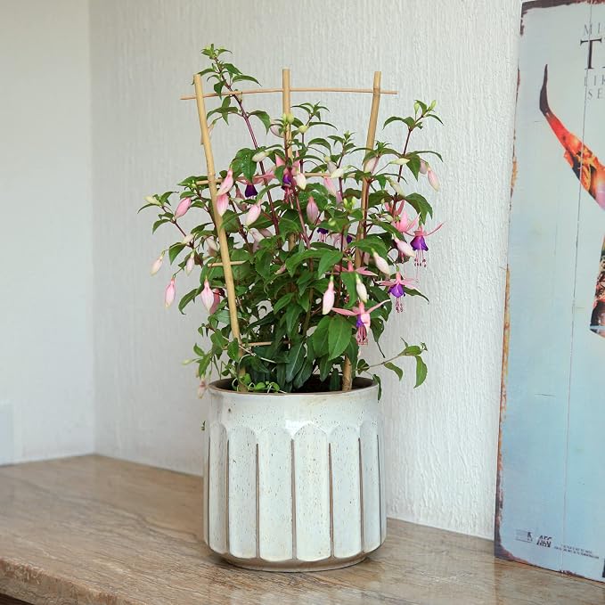 3Pack Bamboo Trellis 16 Inch Fan Shaped Small Plant Trellis - Image 5