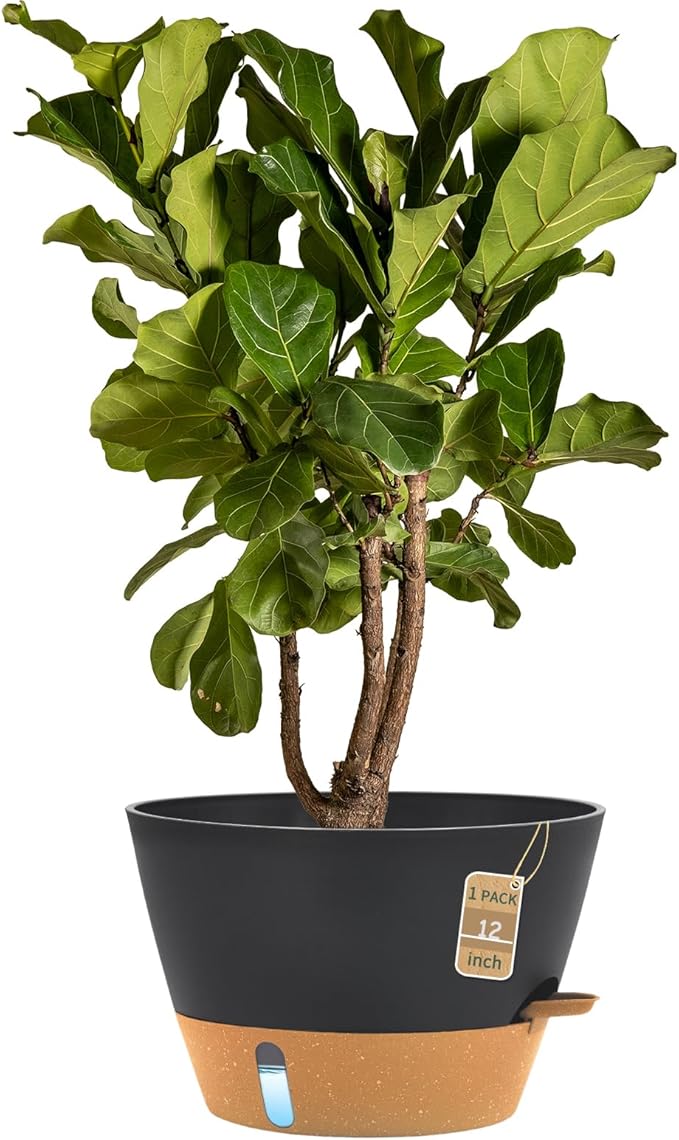 12-Inch Self Watering Planters by FIASON