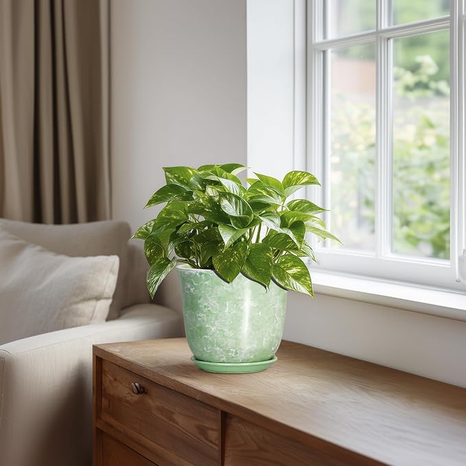 Ceramic Plant Pots - Image 5