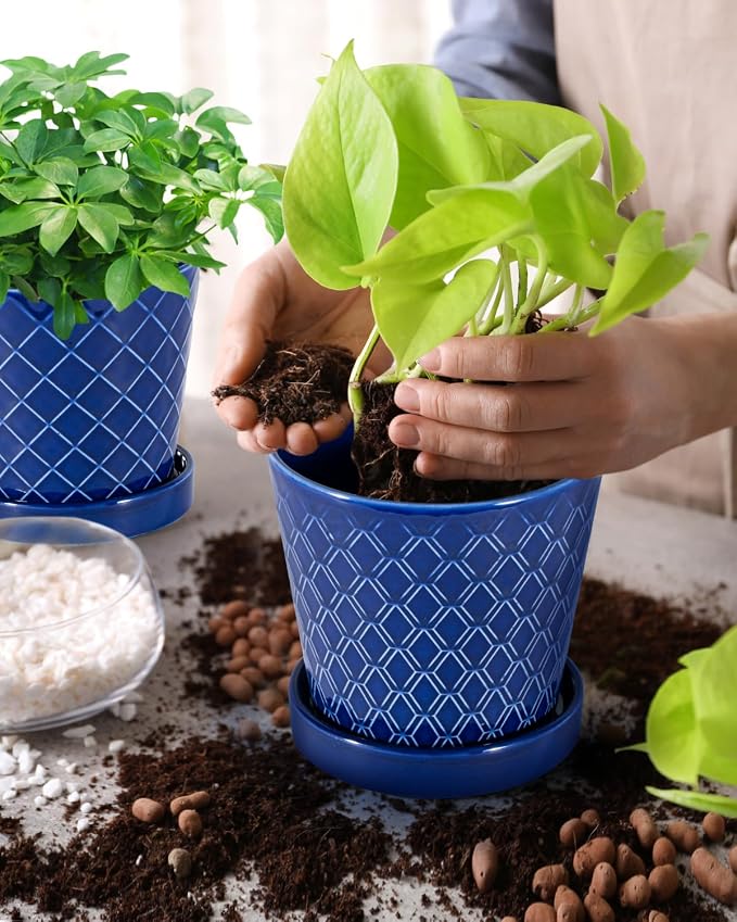 EFISPSS Ceramic Plant Pots, 5Inch Pots - Image 2
