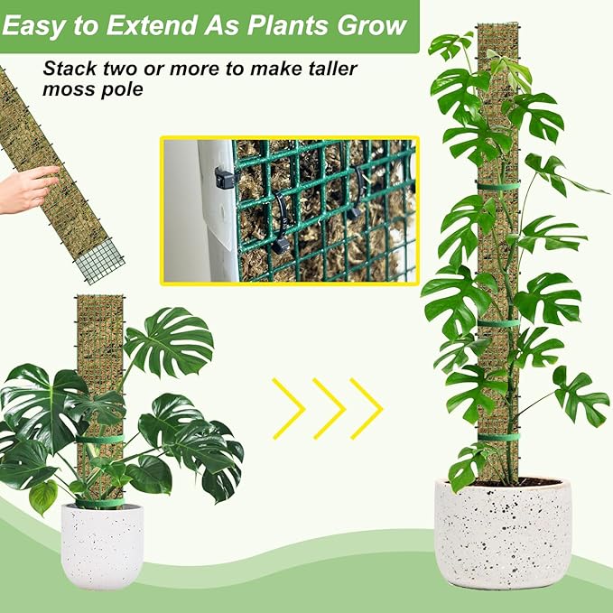 60"/40"/24" Metal Moss Pole, D Shape Sphagnum Moss Pole, Moss Poles - Image 3
