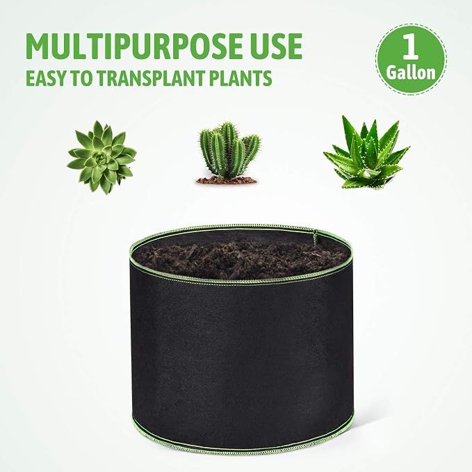Delxo Garden Grow Bags 1 Gallon 10 Pack Plant Growing Bags Small Fabric Pots - Image 5