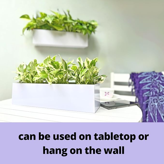 LaLaGreen Wall Planter Carbon Steel White Metal Hanging Flower Pot - Image 6