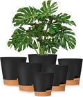 GARDIFE Plant Pots 8/7/6.5/6/5.5/5 Inch Self Watering Planters by GARDIFE