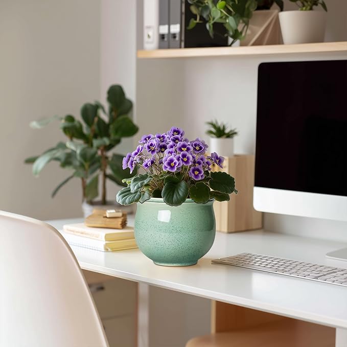 Ceramic Self Watering Pots, 6 Inch African Violet Pots - Image 3