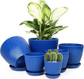 Plant Pots Indoor with Saucers & Drainage by Vodotion