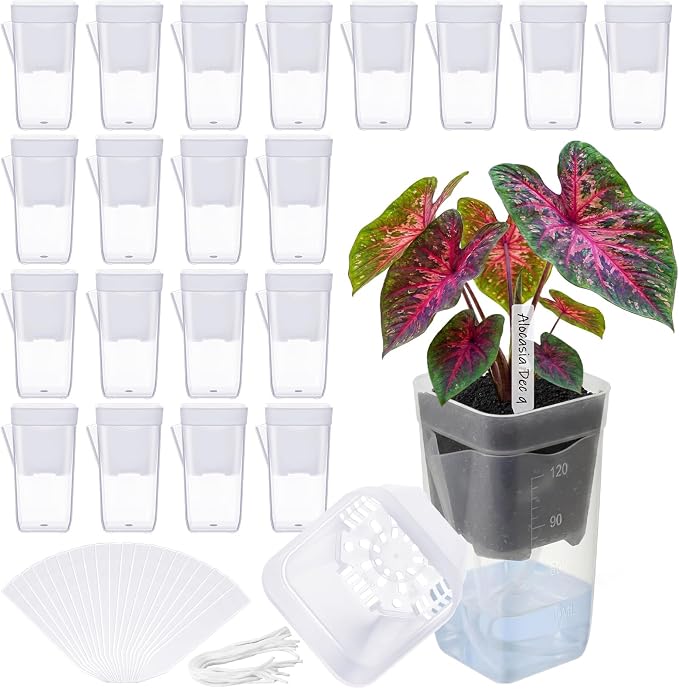 LemonRoad 20 Pack 2" Small Self Watering Pots by Unknown