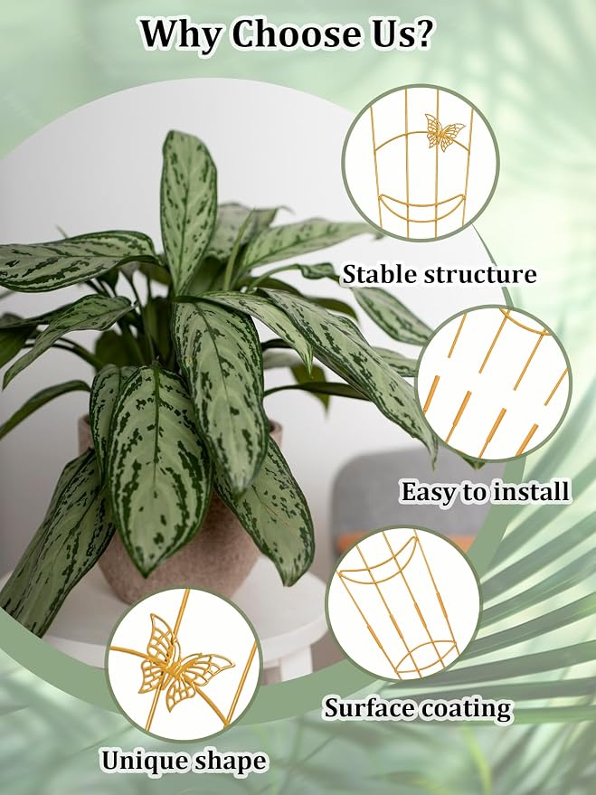 2 Pcs Tall Trellis for Potted Plants, Plant Pothos Climber Support for Monstera - Image 3