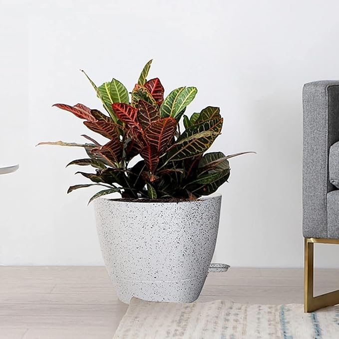 10/9/8 inch Self Watering Pots - Image 8