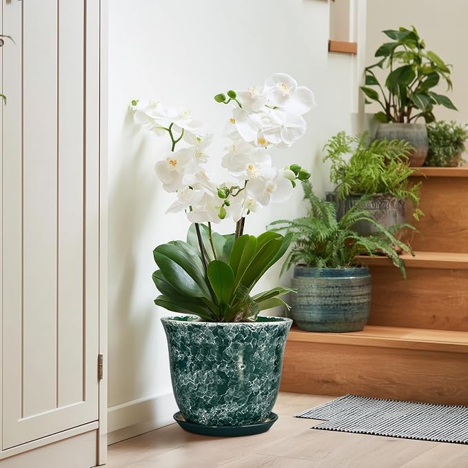 Ceramic Plant Pots - Image 6