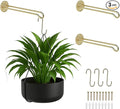 Ilyapa 3 Pack Metal Wall Plant Hangers by Ilyapa