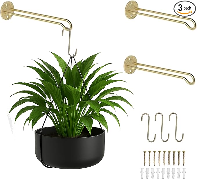Ilyapa 3 Pack Metal Wall Plant Hangers by Ilyapa