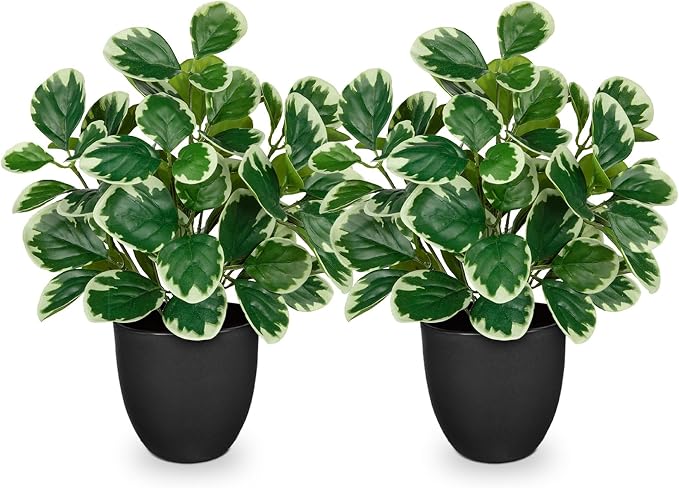 Sets of 2 Artificial Plants Indoor Home Decor, 14.5" Fake Potted Silk Plants - Image 8