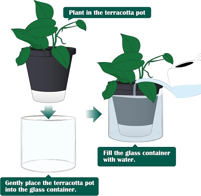D'vine Dev 8 Inch Design Self Watering Planter - Image 7