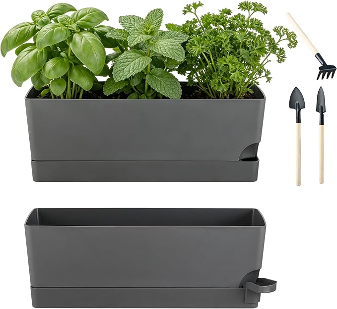 2 Pack Rectangle Self Watering Pots by KvyusFlourish