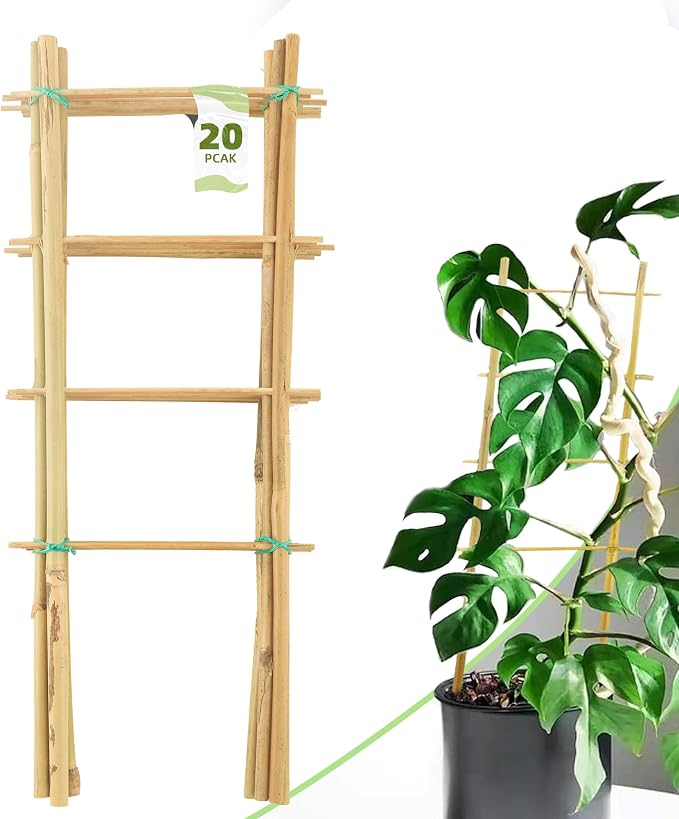 Avalution 20 Pack Bamboo Trellis by Avalution