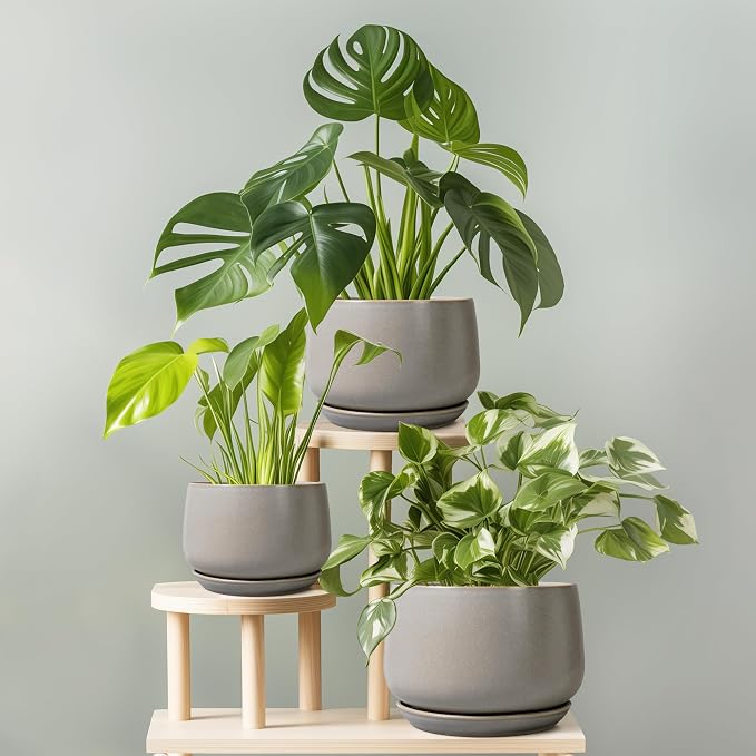 G EPGardening Ceramic Pots for Plants 7 Inch - Image 7