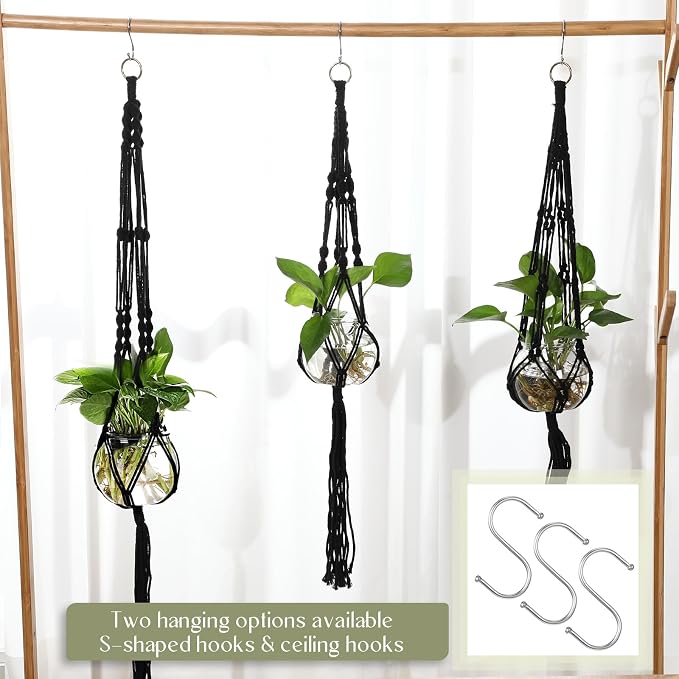 6 Pcs Plastic Plant Propagation - Image 3